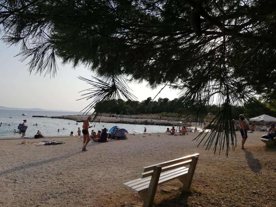 Apartman Zlata Vir Dış mekan fotoğraf
