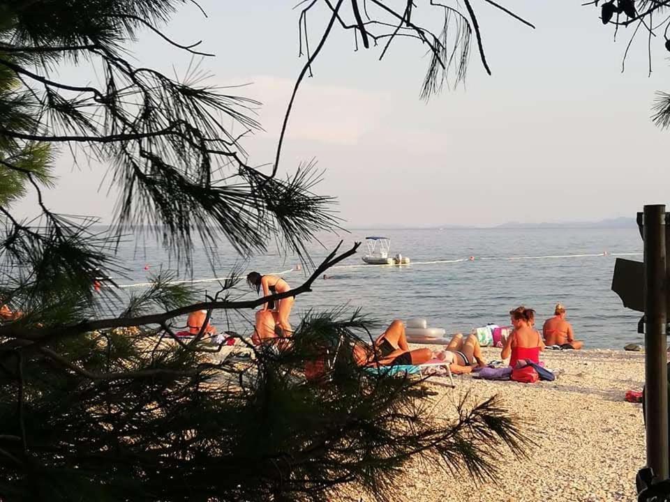 Apartman Zlata Vir Dış mekan fotoğraf